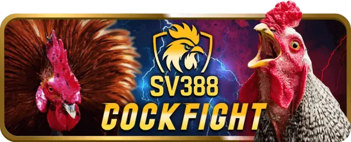 Hoàn trả hàng ngày 33win99
